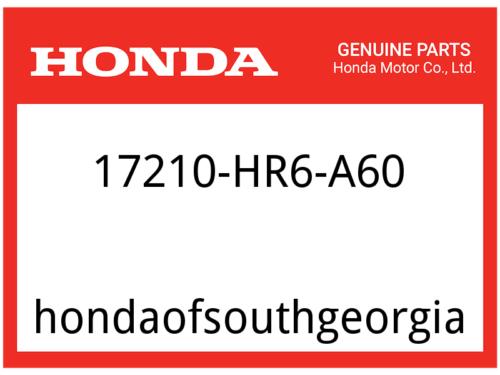 Honda OEM Part 17210-HR6-A60